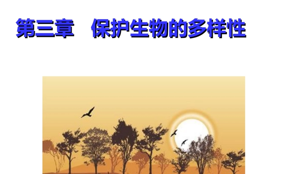八年级生物上册 6.3《保护生物的多样性》课件4 （新版）新人教版-（新版）新人教版初中八年级上册生物课件