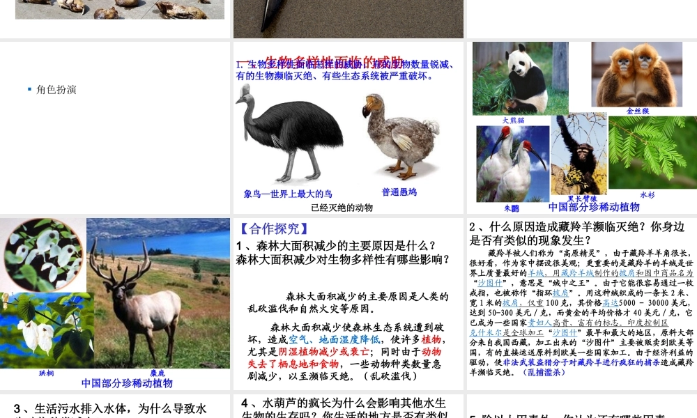 八年级生物上册 6.3《保护生物的多样性》课件4 （新版）新人教版-（新版）新人教版初中八年级上册生物课件