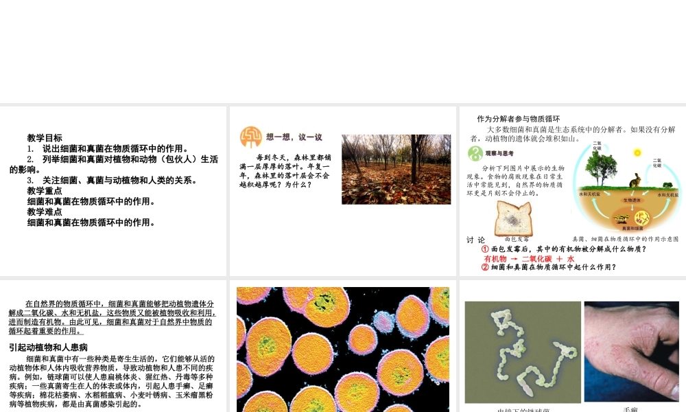 八年级生物上册 5.4.4 细菌和真菌在自然界中的作用课件 （新版）新人教版-（新版）新人教版初中八年级上册生物课件