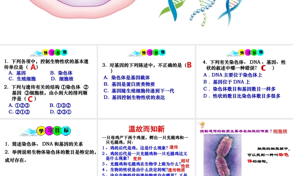 八年级生物上册 《性状遗传的物质基础》课件3 （新版）北师大版-（新版）北师大级上册生物课件
