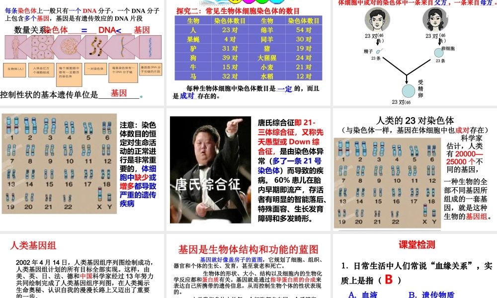 八年级生物上册 《性状遗传的物质基础》课件3 （新版）北师大版-（新版）北师大级上册生物课件