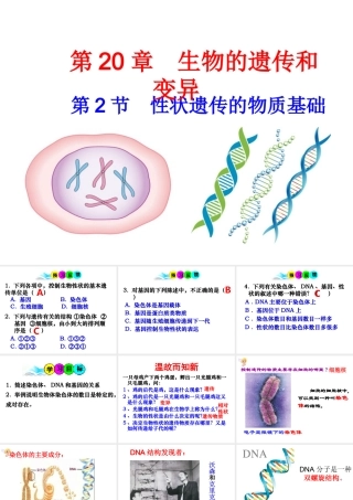 八年级生物上册 《性状遗传的物质基础》课件3 （新版）北师大版-（新版）北师大级上册生物课件