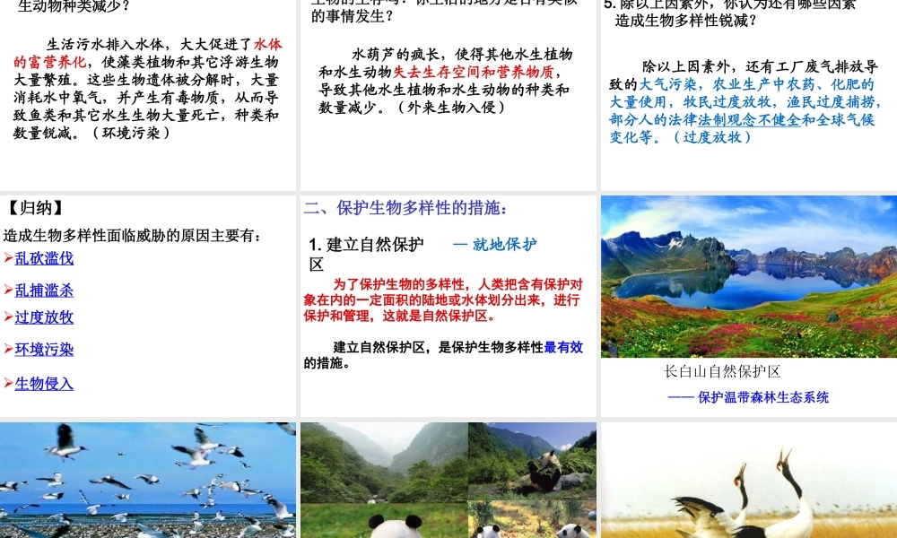 八年级生物上册 6.3《保护生物的多样性》课件4 （新版）新人教版-（新版）新人教级上册生物课件