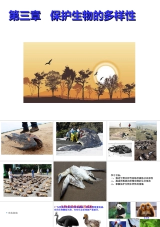八年级生物上册 6.3《保护生物的多样性》课件4 （新版）新人教版-（新版）新人教级上册生物课件