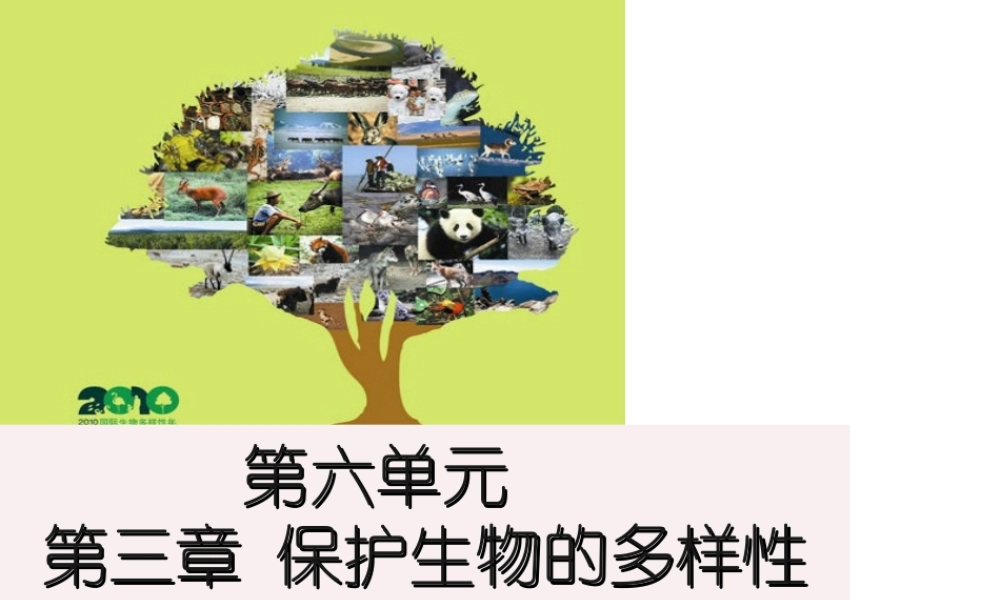 八年级生物上册 6.3《保护生物的多样性》课件5 （新版）新人教版-（新版）新人教版初中八年级上册生物课件