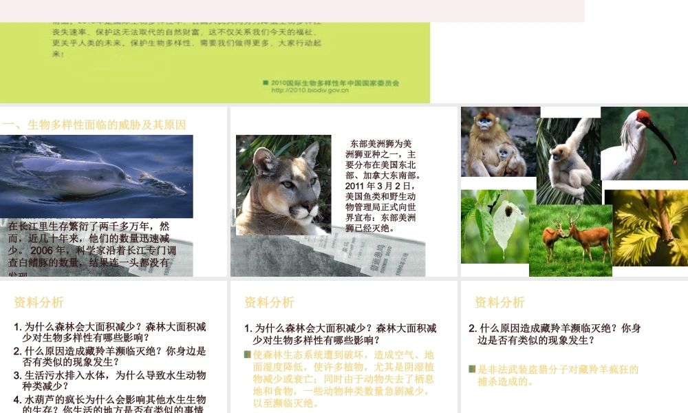 八年级生物上册 6.3《保护生物的多样性》课件5 （新版）新人教版-（新版）新人教版初中八年级上册生物课件