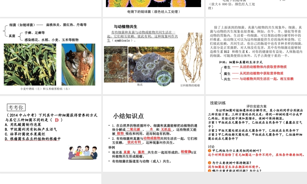 八年级生物上册 5.4.4 细菌和真菌在自然界中的作用课件 （新版）新人教版-（新版）新人教级上册生物课件