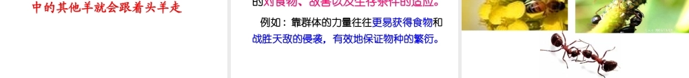 八年级生物上册 5.2.3社会行为课件 （新版）新人教版-（新版）新人教版初中八年级上册生物课件