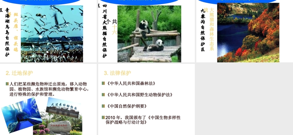 八年级生物上册 6.3《保护生物的多样性》课件5 （新版）新人教版-（新版）新人教级上册生物课件