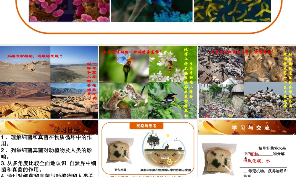 八年级生物上册 5.4.4 细菌和真菌在自然界中的作用课件 （新版）新人教版