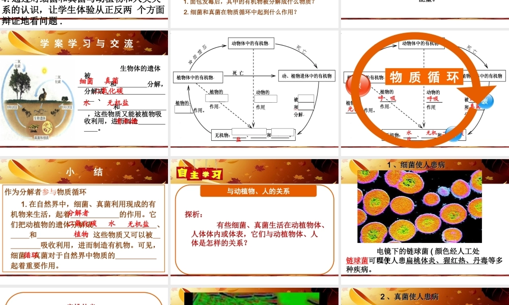 八年级生物上册 5.4.4 细菌和真菌在自然界中的作用课件 （新版）新人教版
