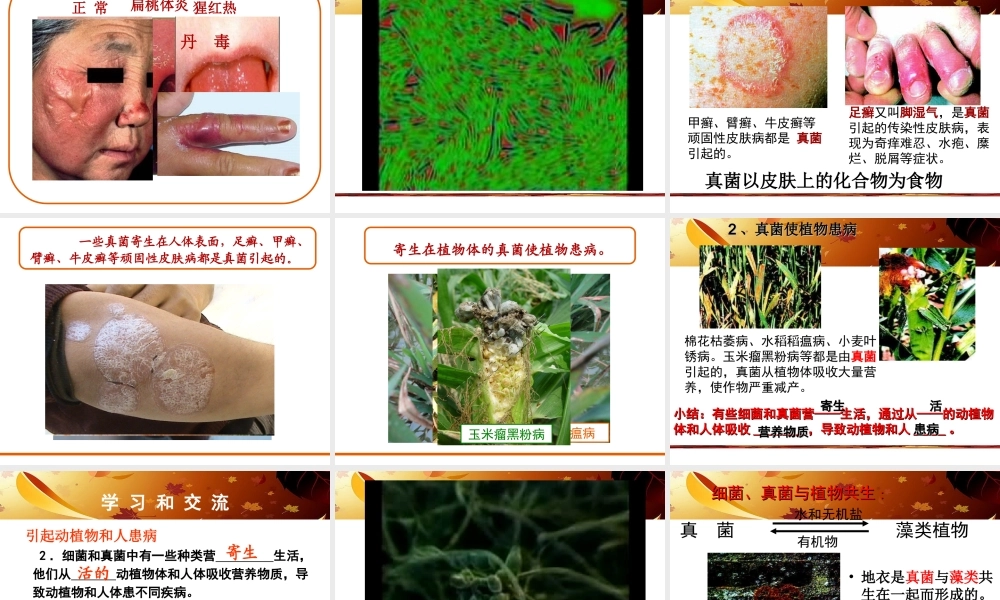 八年级生物上册 5.4.4 细菌和真菌在自然界中的作用课件 （新版）新人教版