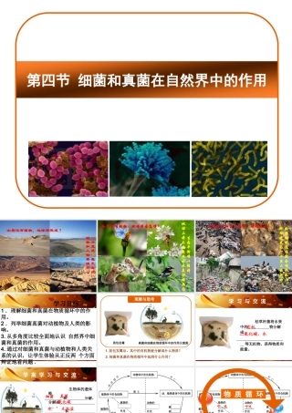 八年级生物上册 5.4.4 细菌和真菌在自然界中的作用课件 （新版）新人教版