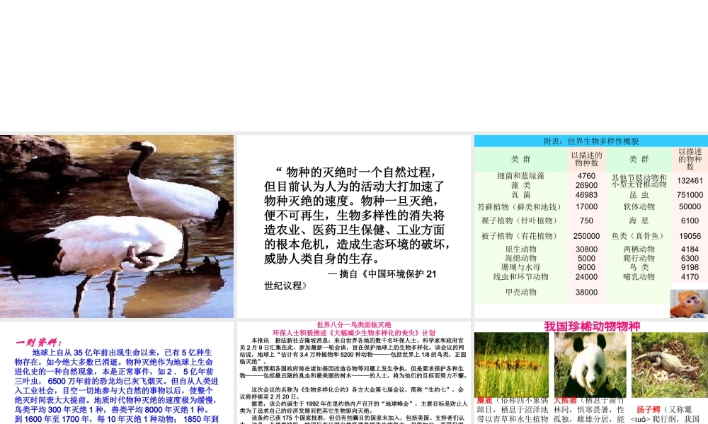 八年级生物上册 6.3保护生物的多样性课件 （新版）新人教版-（新版）新人教版初中八年级上册生物课件