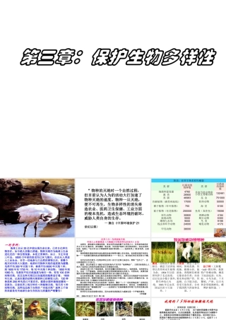 八年级生物上册 6.3保护生物的多样性课件 （新版）新人教版-（新版）新人教版初中八年级上册生物课件