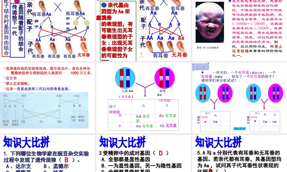 八年级生物上册 《性状遗传有一定的规律性》课件1 （新版）北师大版-（新版）北师大级上册生物课件