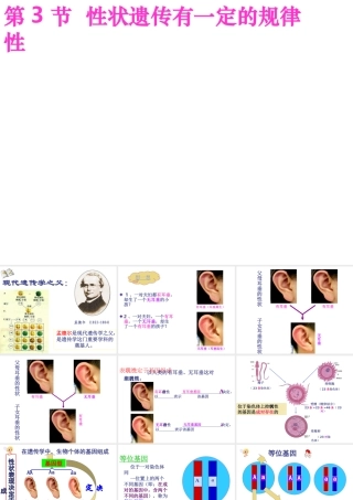 八年级生物上册 《性状遗传有一定的规律性》课件1 （新版）北师大版-（新版）北师大级上册生物课件