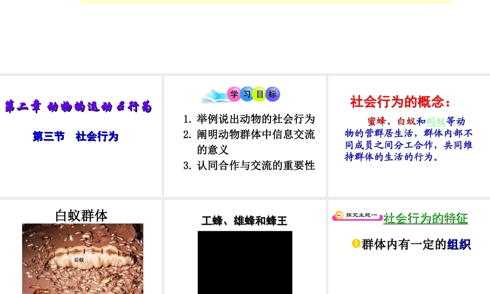 八年级生物上册 5.2.3社会行为课件 人教新课标版