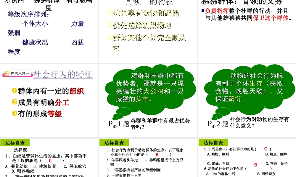 八年级生物上册 5.2.3社会行为课件 人教新课标版