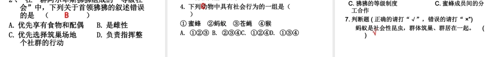 八年级生物上册 5.2.3社会行为课件 人教新课标版