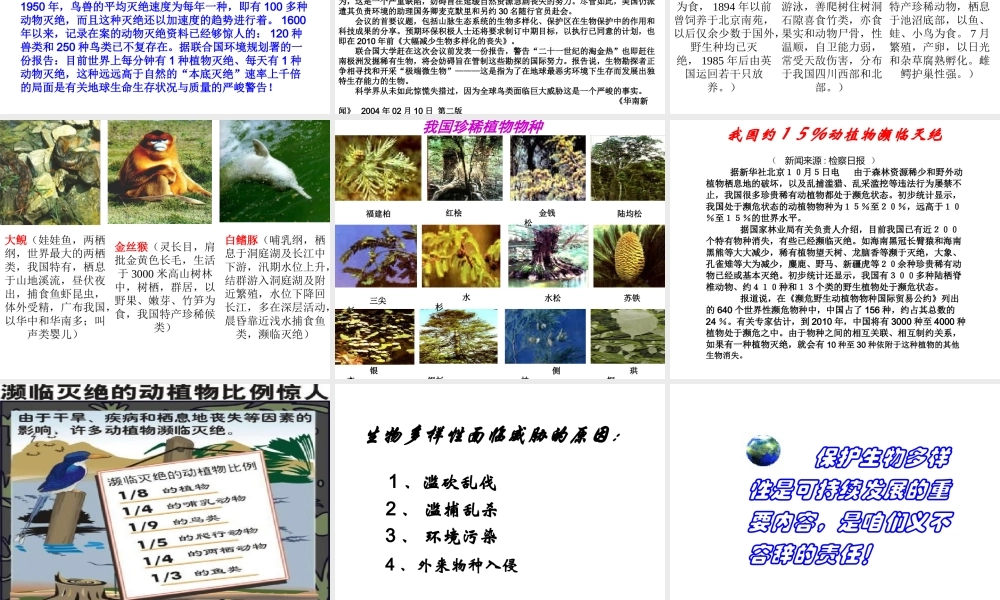 八年级生物上册 6.3保护生物的多样性课件 （新版）新人教版-（新版）新人教级上册生物课件