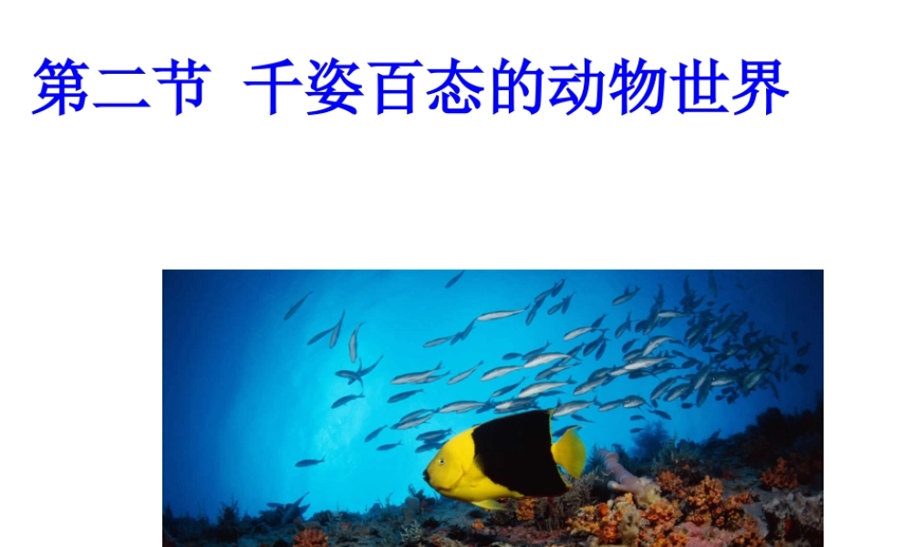 八年级生物上册 第14章 第二节千姿百态的动物世界课件 （新版）苏教版-（新版）苏教级上册生物课件