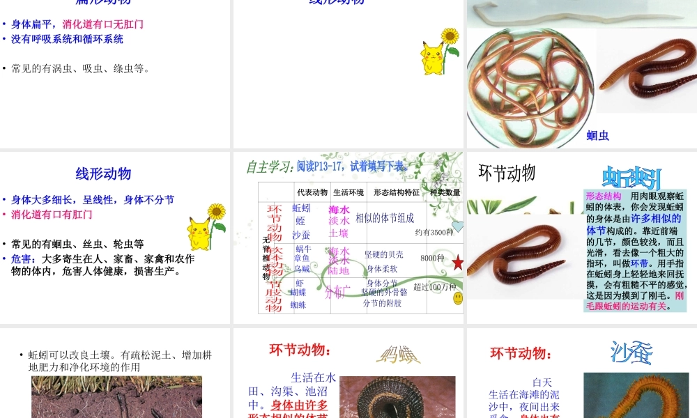 八年级生物上册 第14章 第二节千姿百态的动物世界课件 （新版）苏教版-（新版）苏教级上册生物课件