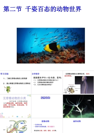 八年级生物上册 第14章 第二节千姿百态的动物世界课件 （新版）苏教版-（新版）苏教级上册生物课件