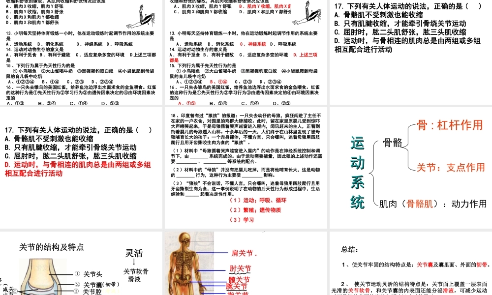 八年级生物上册 5.2动物的运动和行为复习课件 （新版）新人教版-（新版）新人教版初中八年级上册生物课件