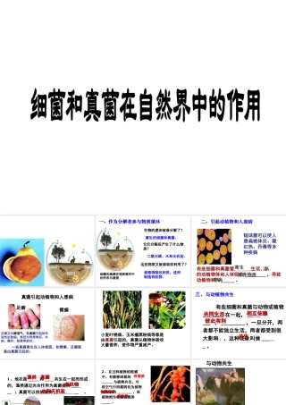 八年级生物上册 5.4.4 细菌和真菌在自然界中的作用课件（1）（新版）新人教版-（新版）新人教级上册生物课件