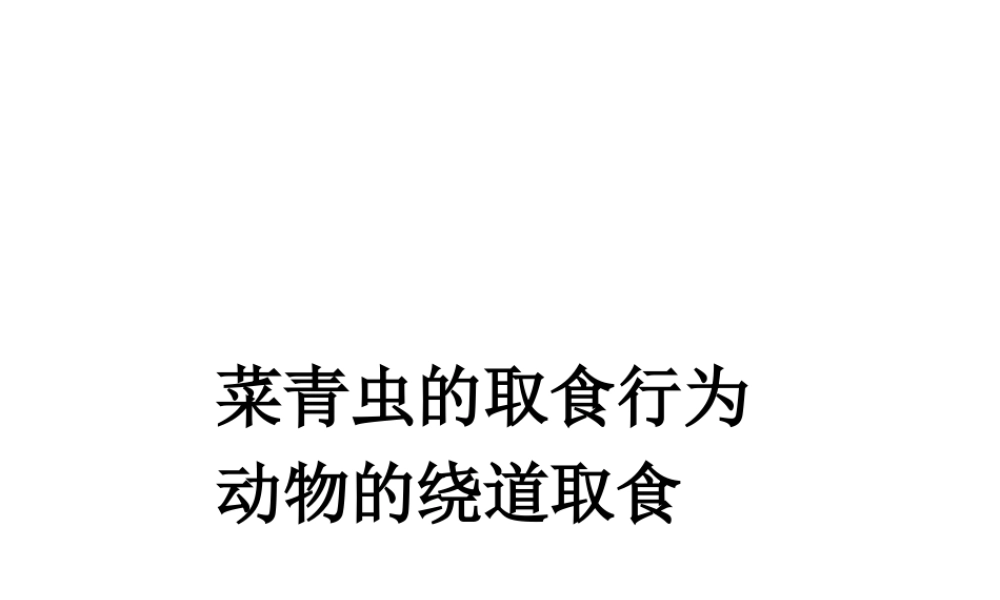 八年级生物上册 《研究一种动物的行为》课件 人教新课标版