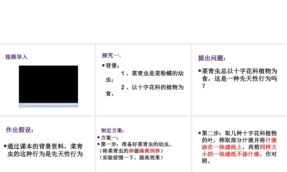 八年级生物上册 《研究一种动物的行为》课件 人教新课标版