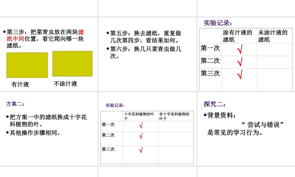 八年级生物上册 《研究一种动物的行为》课件 人教新课标版