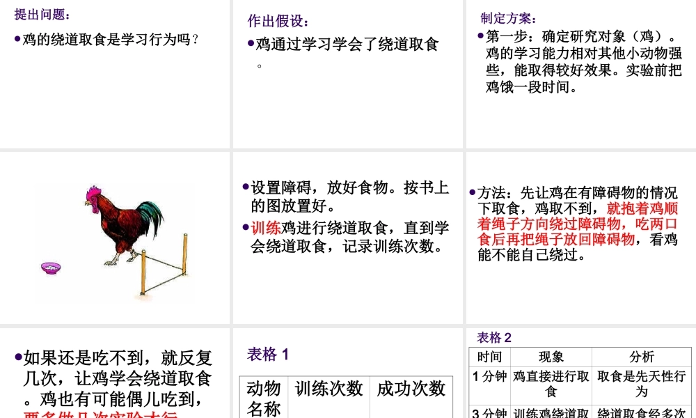 八年级生物上册 《研究一种动物的行为》课件 人教新课标版