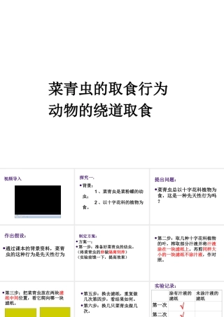 八年级生物上册 《研究一种动物的行为》课件 人教新课标版