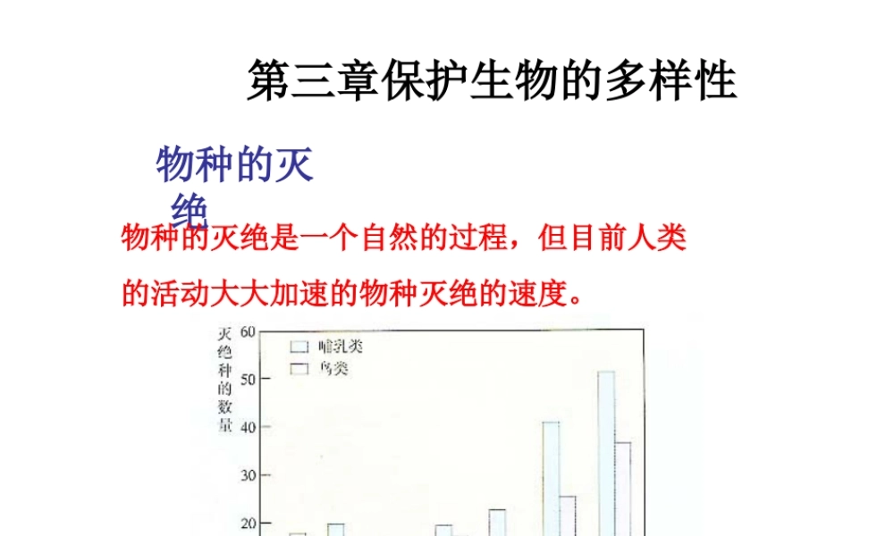 八年级生物上册 6.3保护生物的多样性课件 人教新课标版
