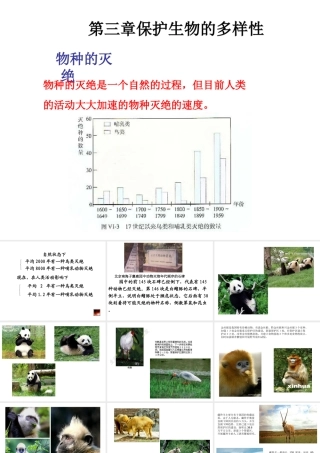 八年级生物上册 6.3保护生物的多样性课件 人教新课标版
