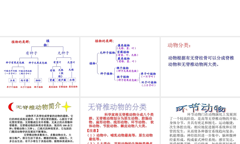 八年级生物上册 第14章 丰富多彩的生物世界课件 （新版）苏教版-（新版）苏教版初中八年级上册生物课件