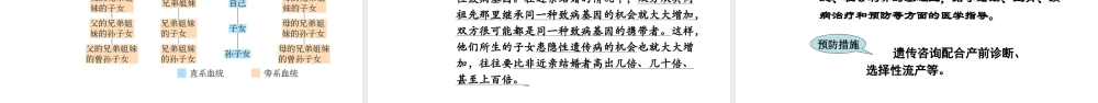 八年级生物上册 《遗传病和人类健康》课件2 （新版）北师大版-（新版）北师大级上册生物课件