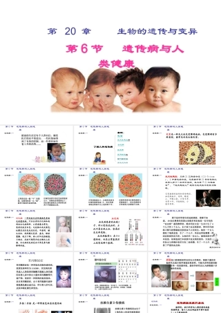 八年级生物上册 《遗传病和人类健康》课件2 （新版）北师大版-（新版）北师大级上册生物课件
