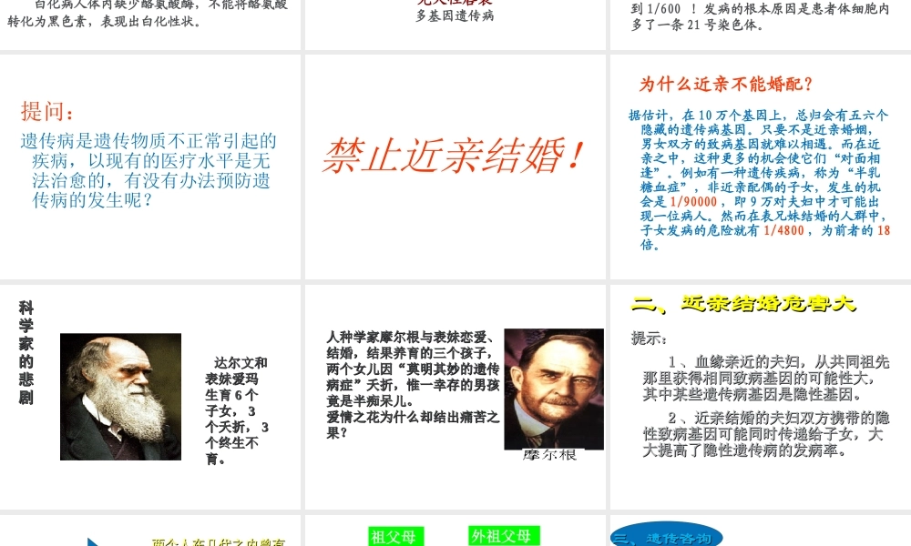 八年级生物上册 《遗传病和人类健康》课件3 （新版）北师大版-（新版）北师大级上册生物课件