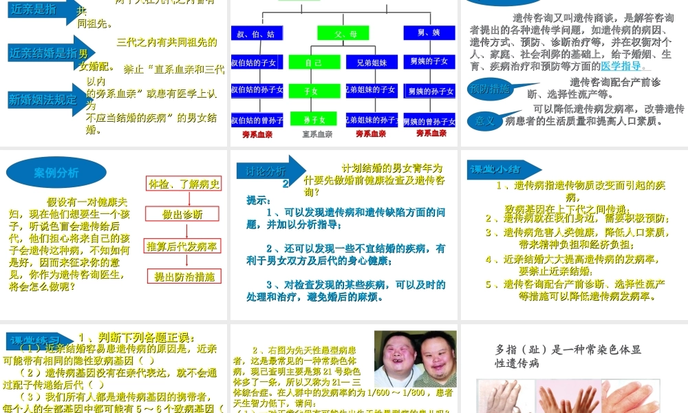 八年级生物上册 《遗传病和人类健康》课件3 （新版）北师大版-（新版）北师大级上册生物课件