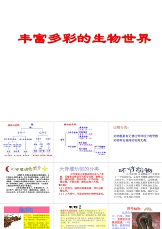 八年级生物上册 第14章 丰富多彩的生物世界课件 （新版）苏教版-（新版）苏教级上册生物课件