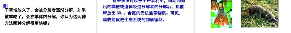 八年级生物上册 5.3 动物在生物圈中的作用课件 新人教版