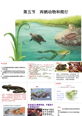 八年级生物上册 5.1.5 两栖动物和爬行动物 （新版）新人教版