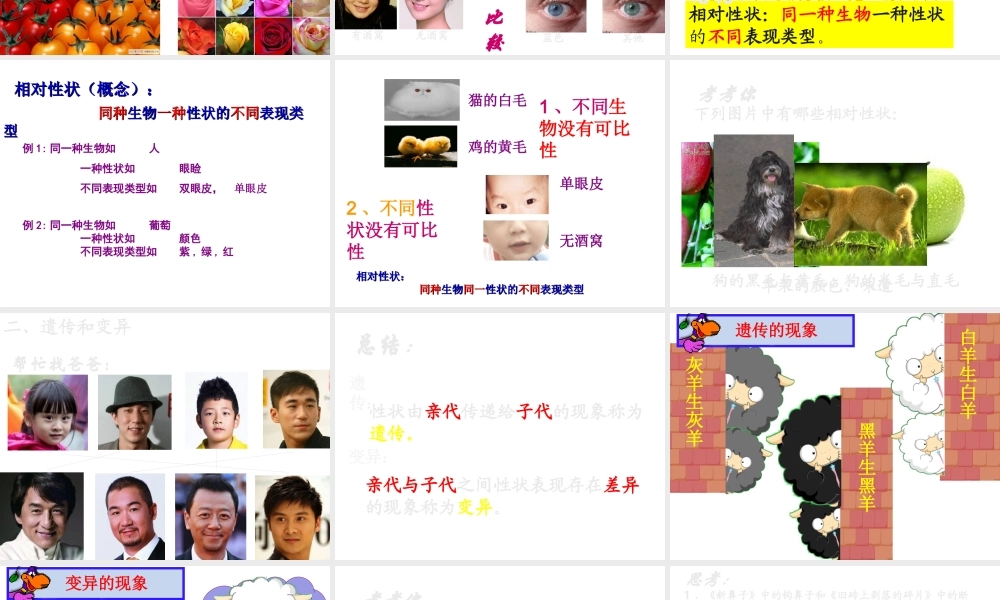 八年级生物上册 《遗传和变异现象》课件1 （新版）北师大版-（新版）北师大级上册生物课件
