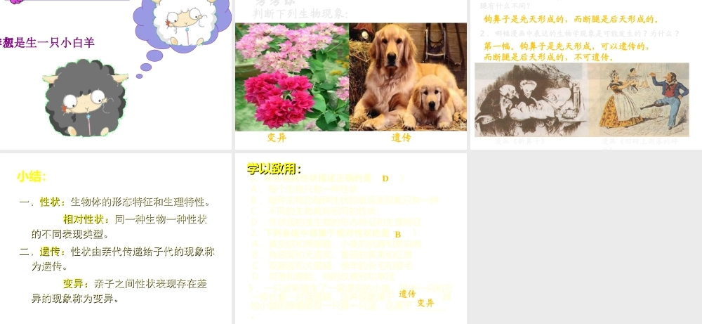 八年级生物上册 《遗传和变异现象》课件1 （新版）北师大版-（新版）北师大级上册生物课件