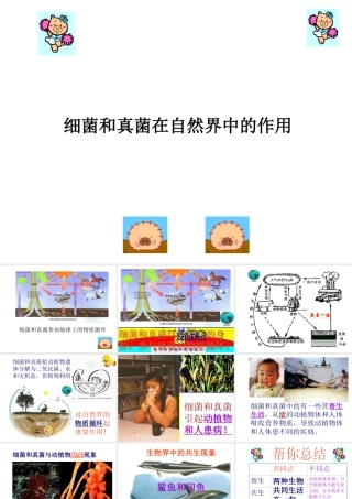 八年级生物上册 5.4.4 细菌和真菌在自然界中的作用课件3 （新版）新人教版