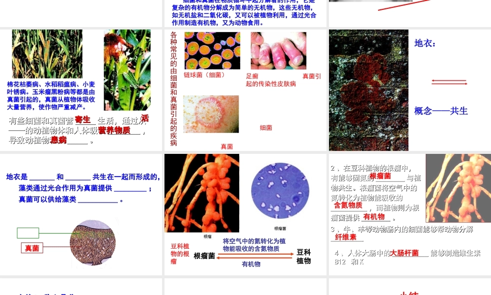 八年级生物上册 5.4.4 细菌和真菌在自然界中的作用课件4 （新版）新人教版