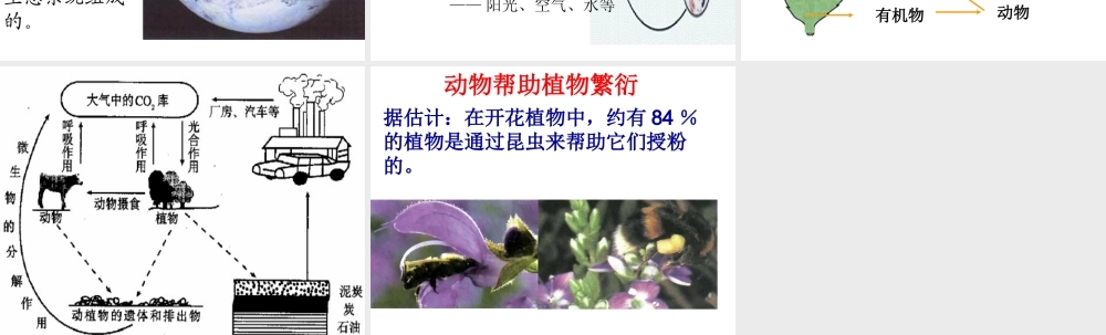 八年级生物上册 5.3 动物在生物圈中的作用课件1 （新版）新人教版